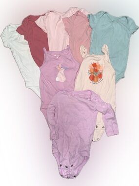Baby Girls Onesies Bundle (Size 9 mos)